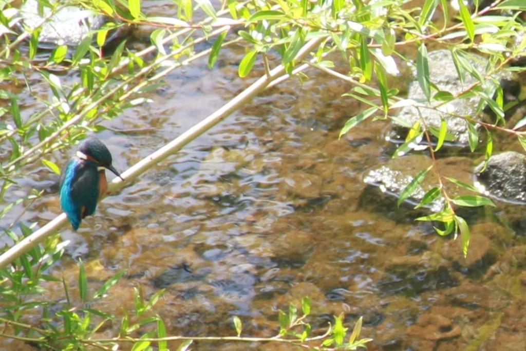Riverside ناريسبورو المظهر الخارجي الصورة